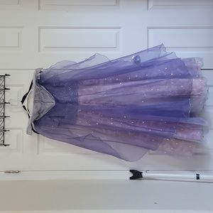 Disney Princess Clara Dress, size 10